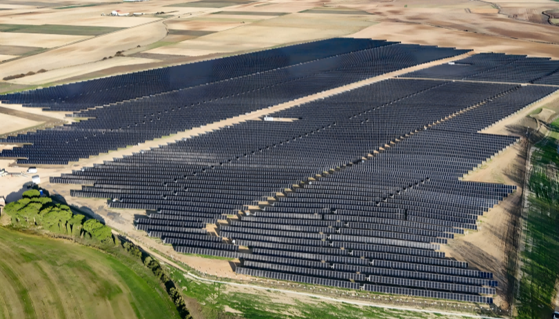 Pato_ES_copyright ibvogt_02[59](1).png